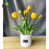 Tulip vàng M2