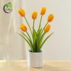 Tulip vải màu cam