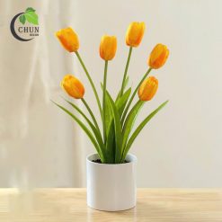 hoa tulip 10