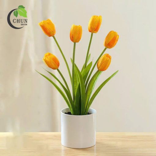 hoa tulip 10