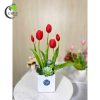 Tulip hồng đỏ