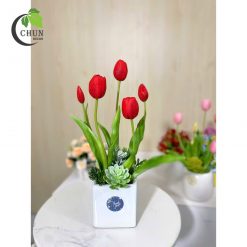 hoa tulip 11