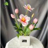 Tulip hồng