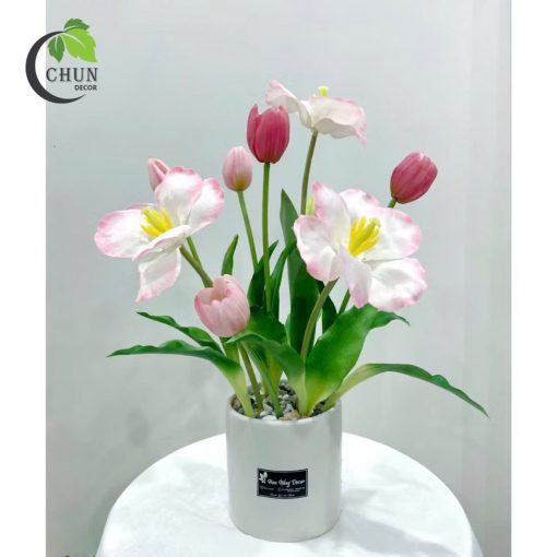 hoa tulip 13
