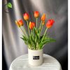 Bình tulip cam M2