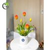 Tulip cam