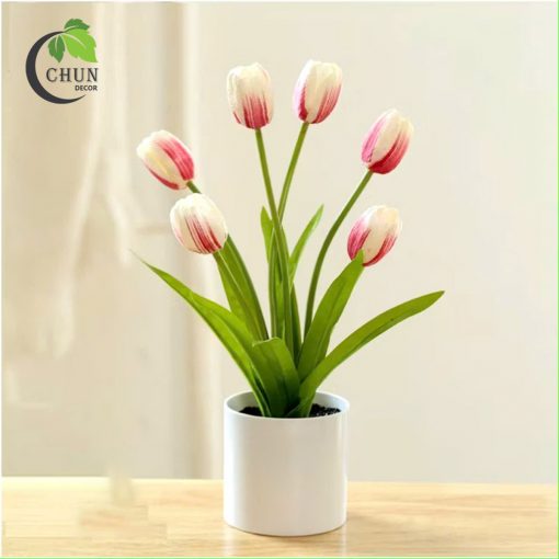 hoa tulip 16