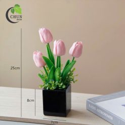 hoa tulip 18