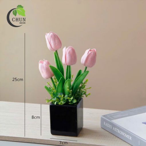 hoa tulip 18
