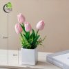 Tulip hồng M1
