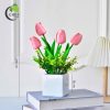 Tulip hồng M4
