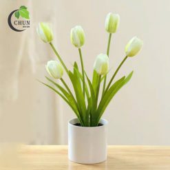 hoa tulip 9