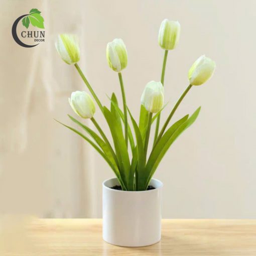 hoa tulip 9