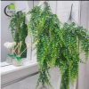 1 chùm rủ dương xỉ